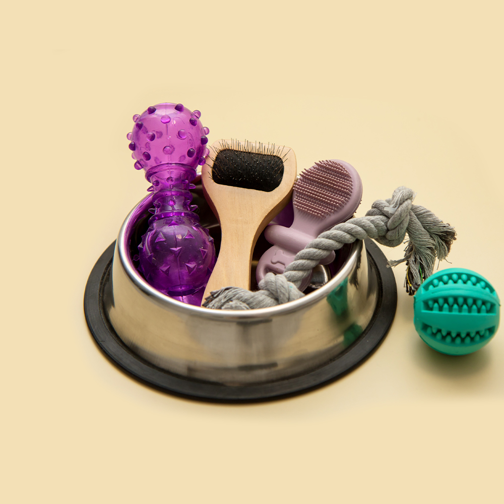 Benebone Ring Durable Dog Chew Toy, Bacon Flavor