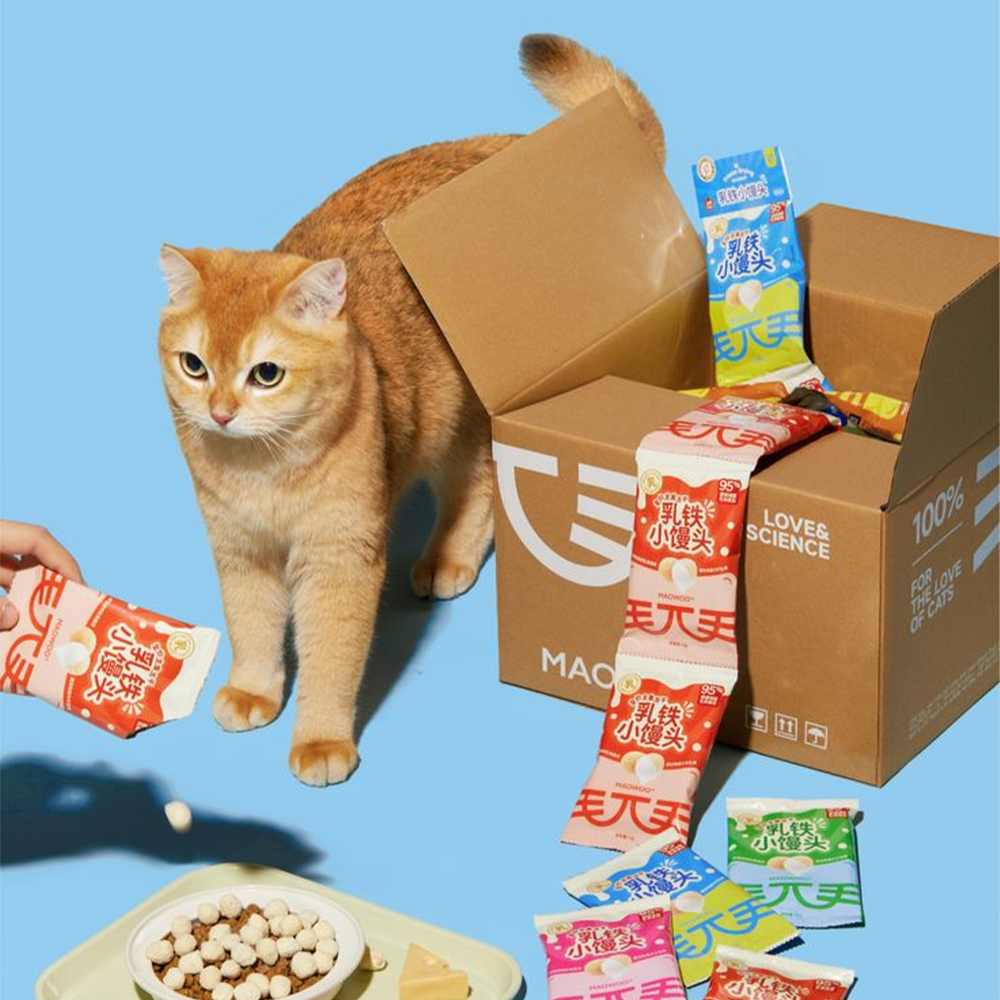 Benebone Ring Durable Dog Chew Toy, Bacon Flavor