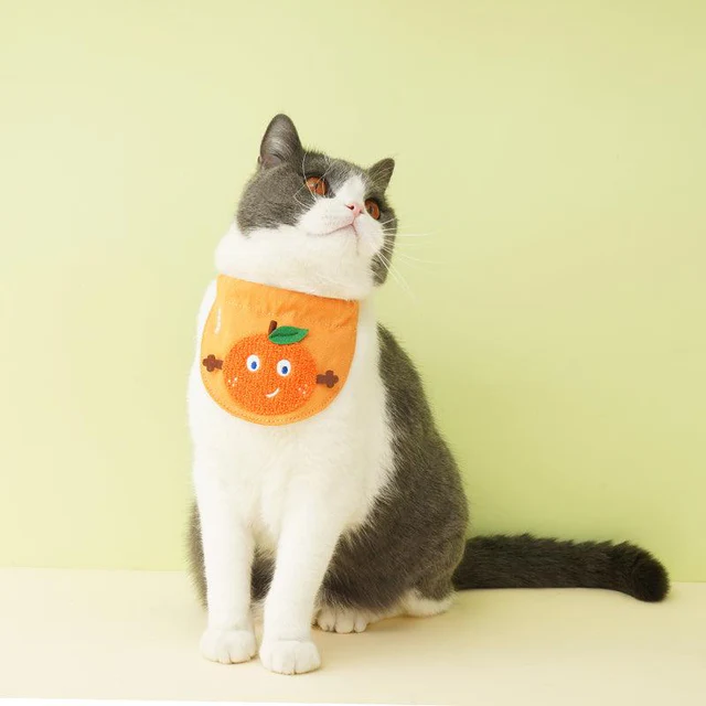 Cute Fruit Bandana