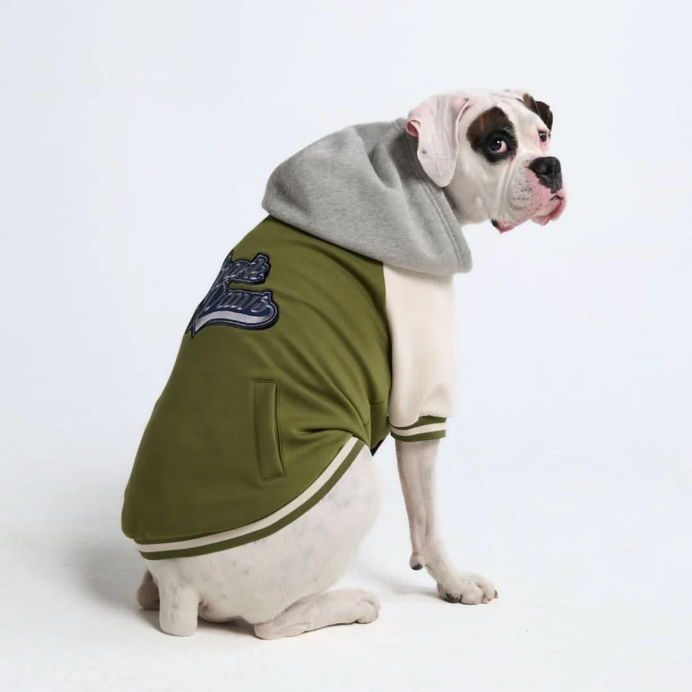 Cyber Punk Dog Hoodie