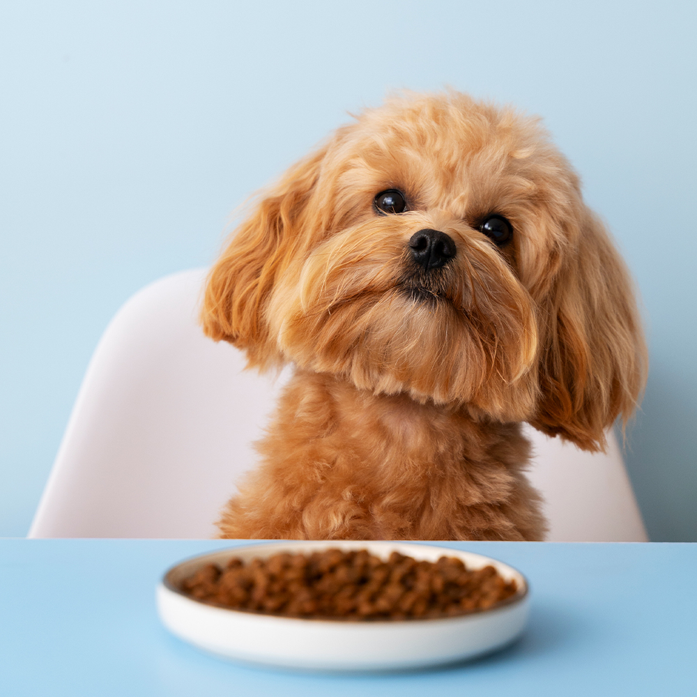 Benebone Ring Durable Dog Chew Toy, Bacon Flavor